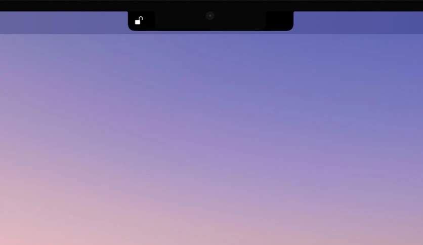 69f45d00b9301-dynamic-notch-screenshot1