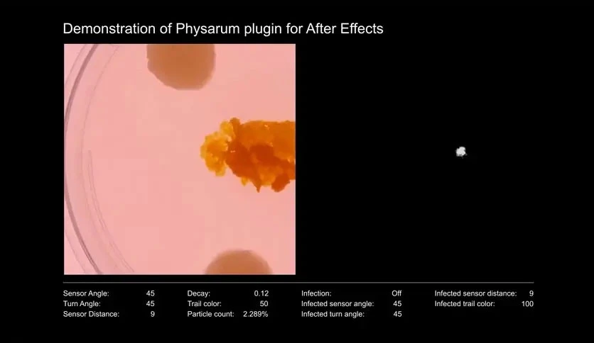 68dccb2211a8f-aescripts-physarum-for-mac-screenshot2