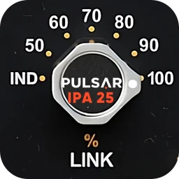 Pulsar Audio IPA 25 for Mac [多VCA动态处理器]