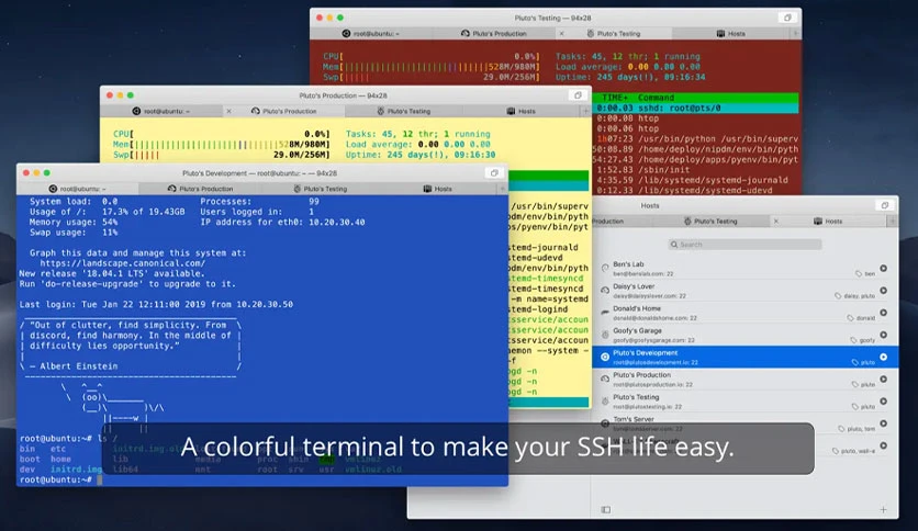 66c43ba71658f-codinn-core-shell-screenshot1