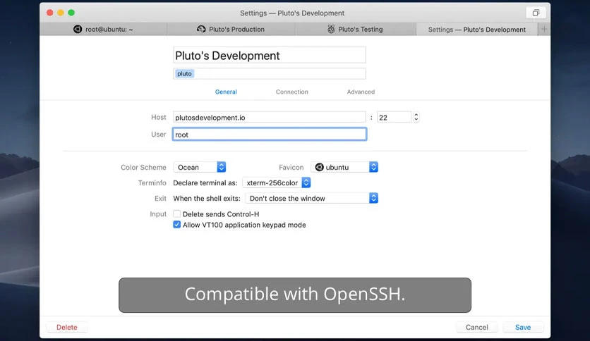 66c43ba71cb2c-codinn-core-shell-screenshot2