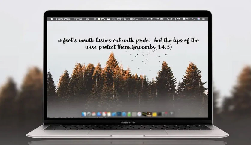 66a9f1b8b5e09-desktop-verse-FeatureImage