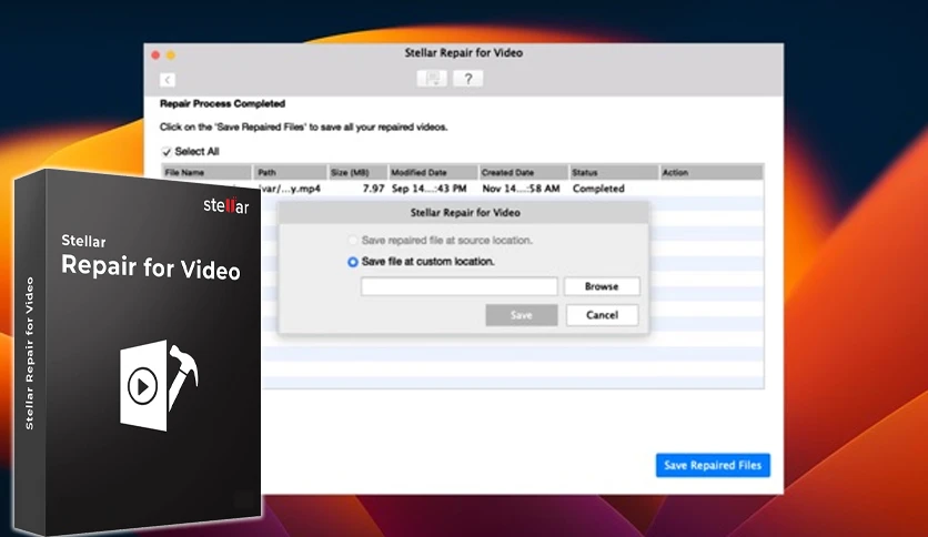 656dbc6c1a8ef-stellar-video-repair-screenshot1