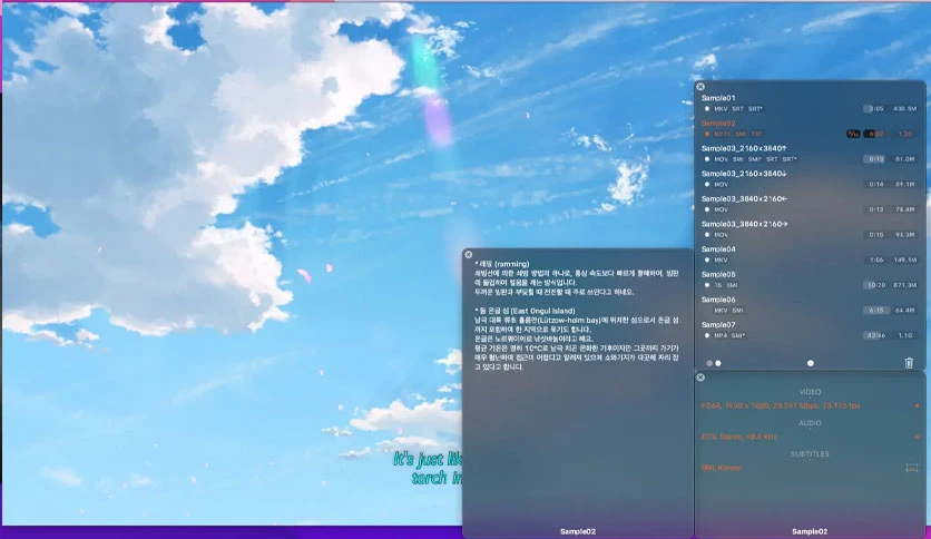 66752f3f50f18-bohoon-kim-kplayer-screenshot3