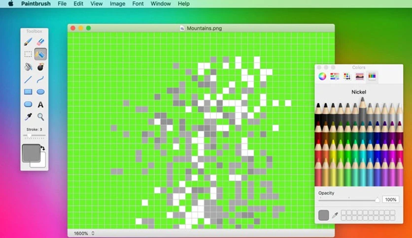 6641c52c1eae4-paintbrush-screenshot3