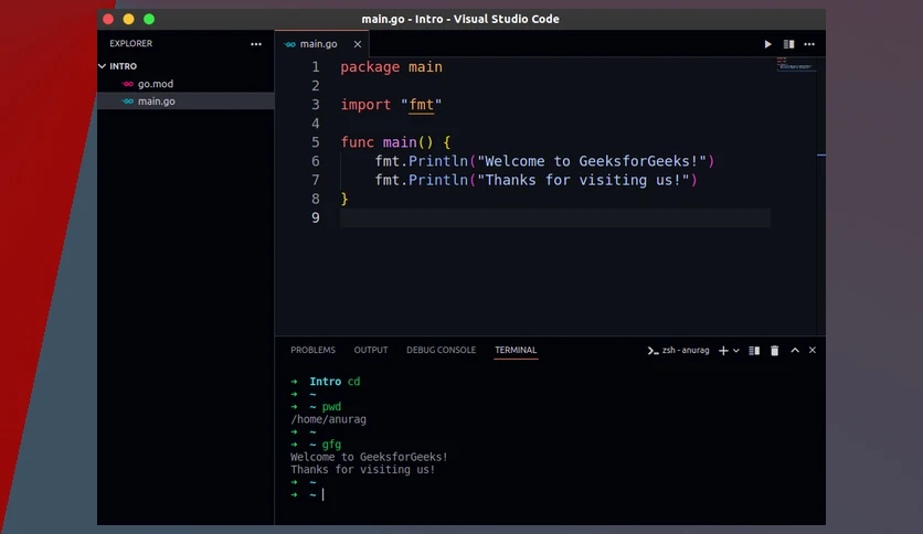 6571977a85e97-go-dev-screenshot2