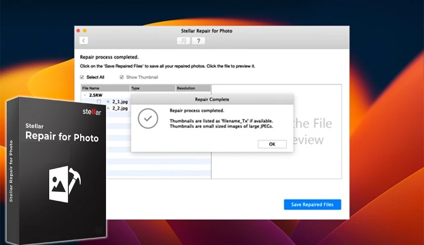 656dc0b110024-stellar-photo-repair-screenshot1