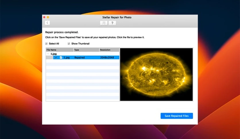 656dc0b282f2d-stellar-photo-repair-screenshot3