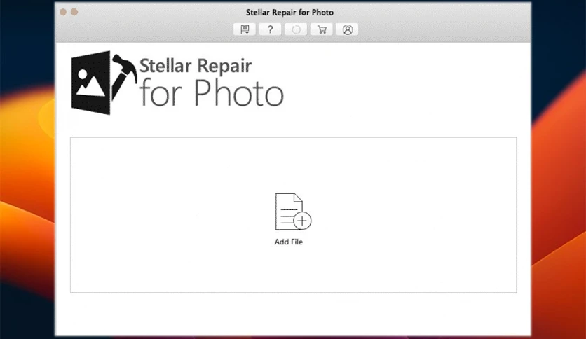 656dc0b0c452c-stellar-photo-repair-screenshot2