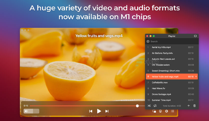 elmedia-player-for-macos-download-1