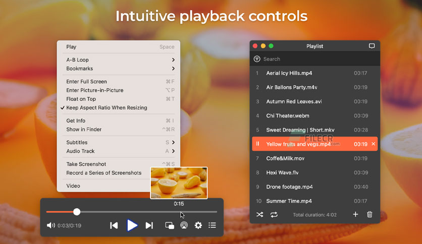 elmedia-player-for-macos-download-2