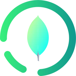 MongoDB Compass for Mac [轻松浏览和操作您的数据库]