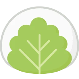Mochi Desktop for Mac [使用 Markdown 做笔记和制作记忆卡片]