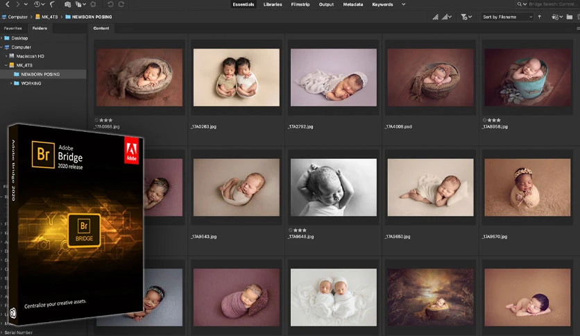 65093ef1e799c-adobe-bridge-screenshot1