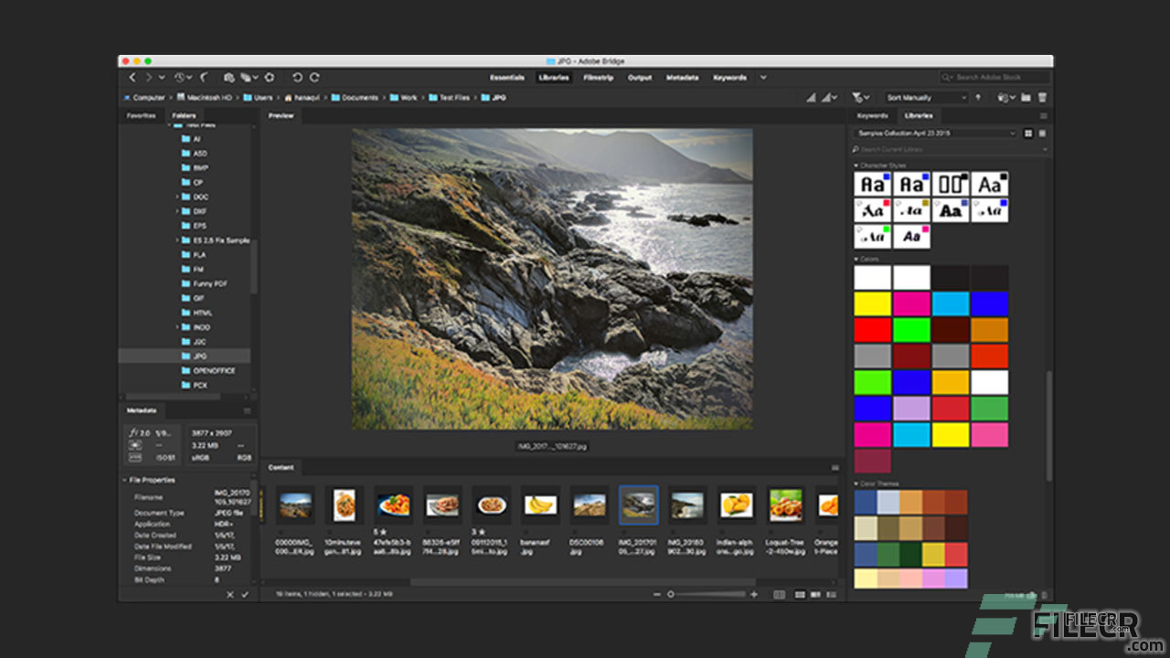 Scr2_Adobe-Bridge-CC_Free-download