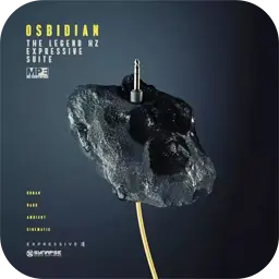 Expressive E Obsidian for Mac [这些阴郁的预设营造出一种原始的生活气息。]